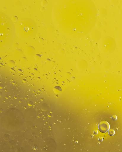 Hippophae Rhamnoides (Sea Buckthorn) Oil (облепиховое масло)